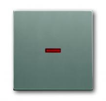 Busch-Jaeger 1789-803 Wippe mit kleiner roter Kalotte