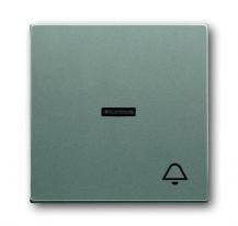 Busch-Jaeger 1789 KI-803 Wippe mit Aufdruck mit kleiner transparenter Kalotte