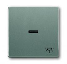 Busch-Jaeger 1789 LI-803 Wippe mit Aufdruck mit kleiner transparenter Kalotte