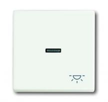 Busch-Jaeger 1789 LI-884 Wippe mit Aufdruck mit kleiner transparenter Kalotte