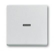 Busch-Jaeger 1789 N-83 Wippe mit kleiner transparenter Kalotte