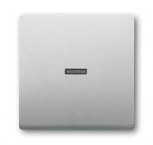 Busch-Jaeger 1789 N-866 Wippe mit kleiner transparenter Kalotte