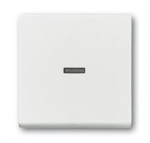 Busch-Jaeger 1789 N-884 Wippe mit kleiner transparenter Kalotte