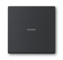 Busch-Jaeger 1789 N-885 Wippe mit kleiner transparenter Kalotte