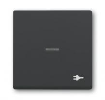 Busch-Jaeger 1789 ST-81 Wippe mit Aufdruck mit kleiner transparenter Kalotte