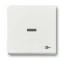 Busch-Jaeger 1789 ST-884 Wippe mit Aufdruck mit kleiner transparenter Kalotte