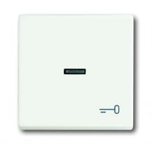 Busch-Jaeger 1789 TR-884 Wippe mit Aufdruck mit kleiner transparenter Kalotte