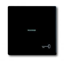 Busch-Jaeger 1789 TR-885 Wippe mit Aufdruck mit kleiner transparenter Kalotte