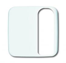 Busch-Jaeger 1790-585-214 Zentralscheibe Für Patienten-Ruf