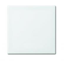 Busch-Jaeger 1790-590-914 Zentralscheibe