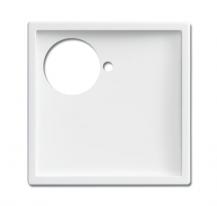 Busch-Jaeger 1790-591-84 Zentralscheibe