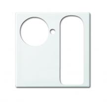 Busch-Jaeger 1790-594-914 Zentralscheibe