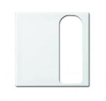 Busch-Jaeger 1790-595-914 Zentralscheibe