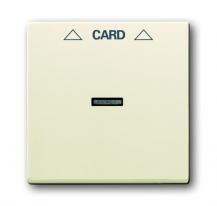 Busch-Jaeger 1792-82 Zentralscheibe