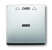 Busch-Jaeger 1792-866 Zentralscheibe