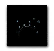 Busch-Jaeger 1795-81 Zentralscheibe für Raumtemperaturregler