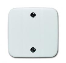 Busch-Jaeger 1796-214 Zentralscheibe für Zugschalter 2610/6 UC-xx 2610/6 UJ-xx