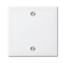 Busch-Jaeger 1796-914 Zentralscheibe für Zugschalter 2610/6 UC-xx 2610/6 UJ-xx