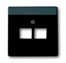 Busch-Jaeger 1803-02-81 Zentralscheibe 2-fach