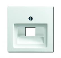 Busch-Jaeger 1803-914 Zentralscheibe