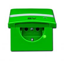 Busch-Jaeger 20 EUGKBLN-13-102 SCHUKO® Steckdosen-Einsatz mit Klappdeckel Beschriftungsfeld und LED Kontrolllicht