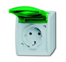 Busch-Jaeger 20 EWN-13-53 SCHUKO® Steckdose mit grünem Klappdeckel