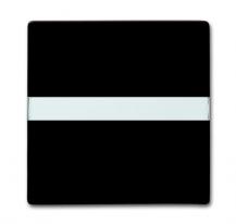 Busch-Jaeger 2106 N-31 Wippe mit Beschriftungsfeld