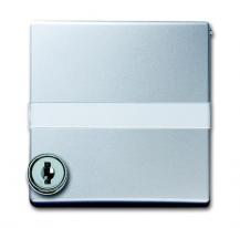 Busch-Jaeger 2118 GKSLN/11-33 Zwischenring mit Klappdeckel abschließbar gleich schließend