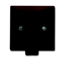 Busch-Jaeger 2133-31 Zentralscheibe mit Tragring