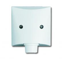 Busch-Jaeger 2133-32 Zentralscheibe mit Tragring