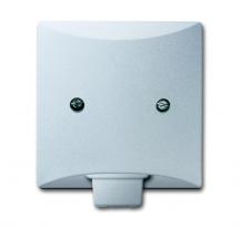 Busch-Jaeger 2133-33 Zentralscheibe mit Tragring