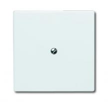 Busch-Jaeger 2138-32 Blindzentralscheibe mit Tragring