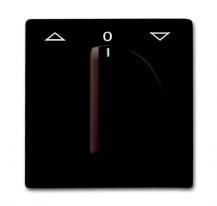 Busch-Jaeger 2142 DR-31 Zentralscheibe mit Drehgriff mit Aufdruck