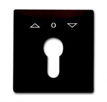 Busch-Jaeger 2155 PZ-31 Zentralscheibe mit Aufdruck