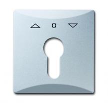 Busch-Jaeger 2155 PZ-33 Zentralscheibe mit Aufdruck