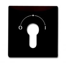 Busch-Jaeger 2155 SLPZ-31 Zentralscheibe mit Aufdruck