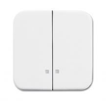 Busch-Jaeger 2505 K-214 Wippe-Serien-Kontrollschalter