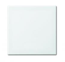 Busch-Jaeger 2506-914 Wippe geschlossen für Schaltereinsatz