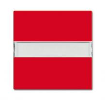 Busch-Jaeger 2510 NLI-917 Wippe mit Beschriftungsfeld