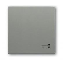 Busch-Jaeger 2520 TR-803 Wippe mit Aufdruck