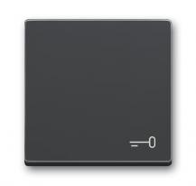 Busch-Jaeger 2520 TR-81 Wippe mit Aufdruck