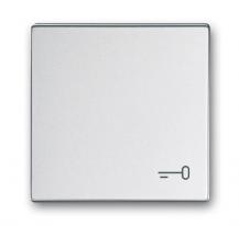 Busch-Jaeger 2520 TR-83 Wippe mit Aufdruck