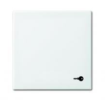 Busch-Jaeger 2520 TR-914 Wippe mit Aufdruck Mit Symbol "Schlüssel"