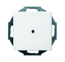 Busch-Jaeger 2527-914 Zentralscheibe