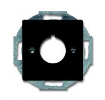 Busch-Jaeger 2533-81 Zentralscheibe mit Tragring