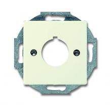 Busch-Jaeger 2533-82 Zentralscheibe mit Tragring