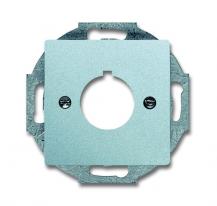 Busch-Jaeger 2533-83 Zentralscheibe mit Tragring