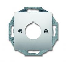 Busch-Jaeger 2533-866 Zentralscheibe mit Tragring