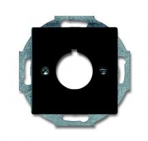 Busch-Jaeger 2533-885 Zentralscheibe mit Tragring