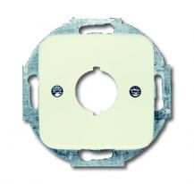 Busch-Jaeger 2534-212 Zentralscheibe Twinax-Einbaubuchse